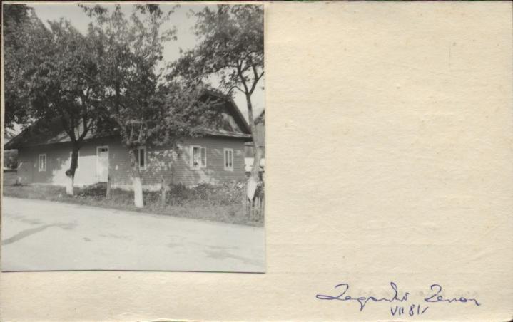 dom, skan 2