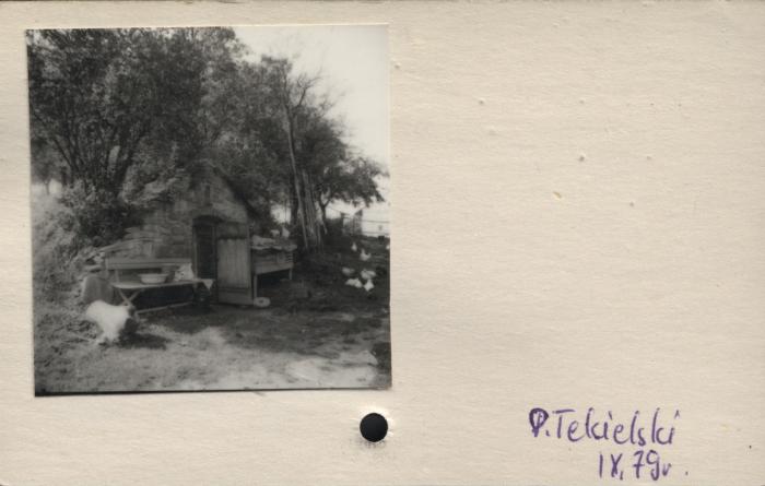piwnica, skan 2