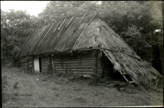 stodoła, skan 3