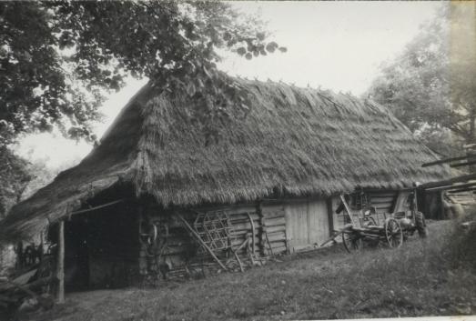 stodoła, skan 3