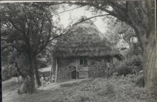 chałupa, skan 3