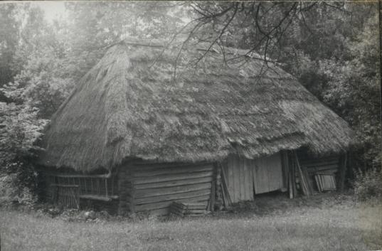 stodoła, skan 3