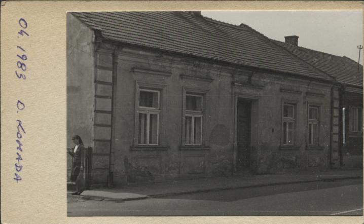 dom, skan 2