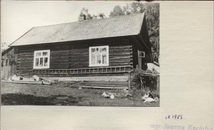 dom, skan 2