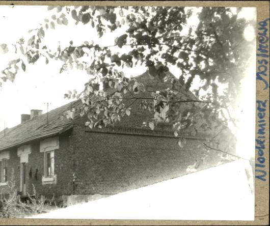 czworak, skan 3