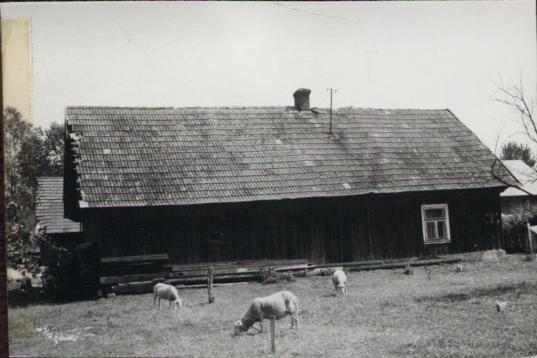 dom, skan 3
