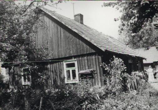 dom, skan 3