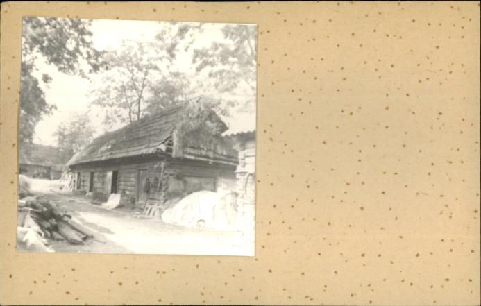 stajnia, skan 2