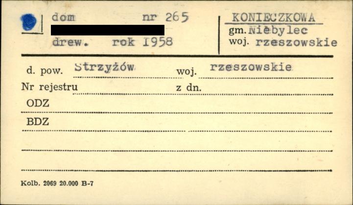 dom, skan 1
