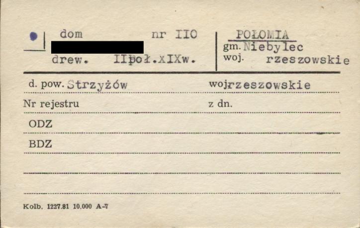 dom, skan 1