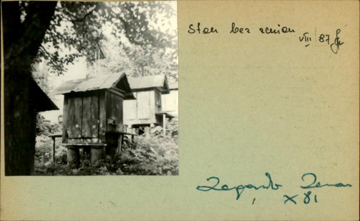 ule, skan 2