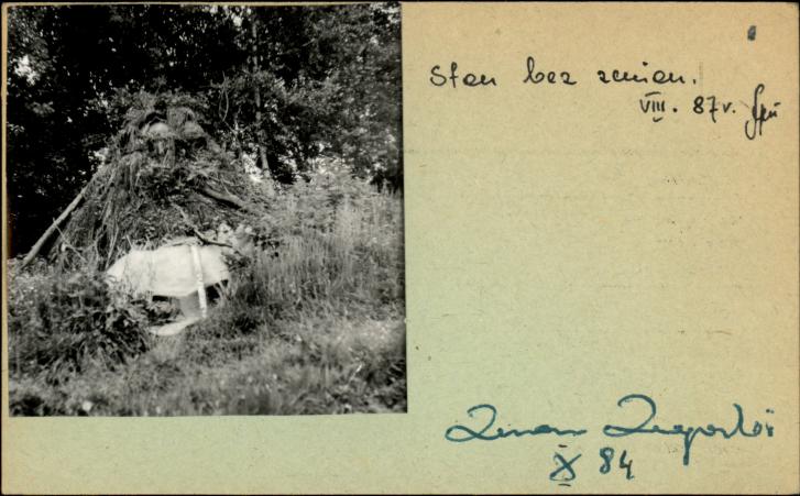 szałas mieszkalny, skan 2