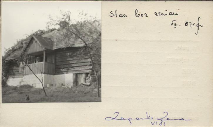 dom, skan 2