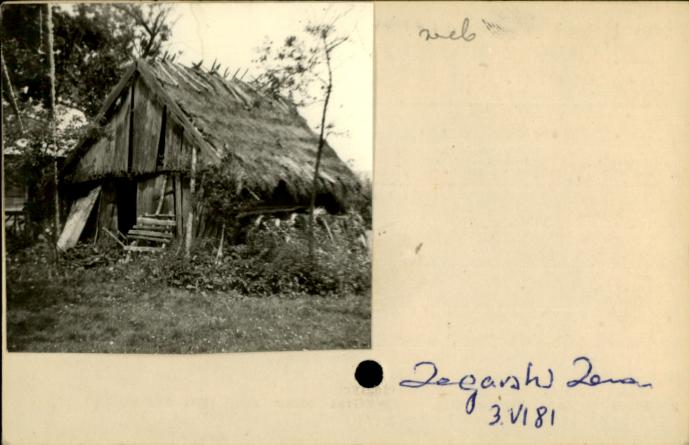 szopa, skan 2