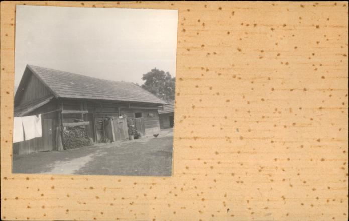 stajnia, skan 2