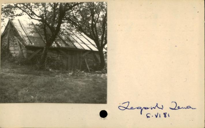 piwnica, skan 2