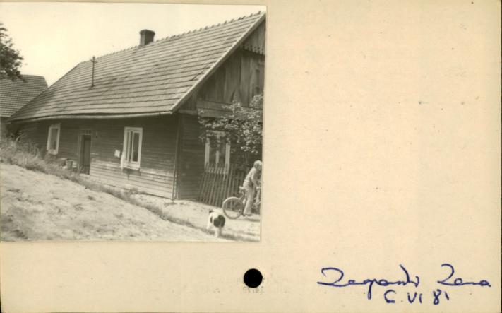 dom, skan 2