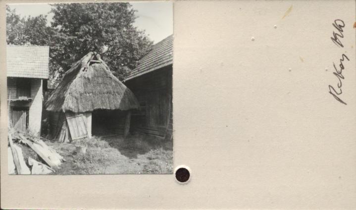 szopa, skan 2