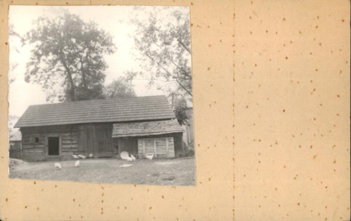 stajnia, skan 2
