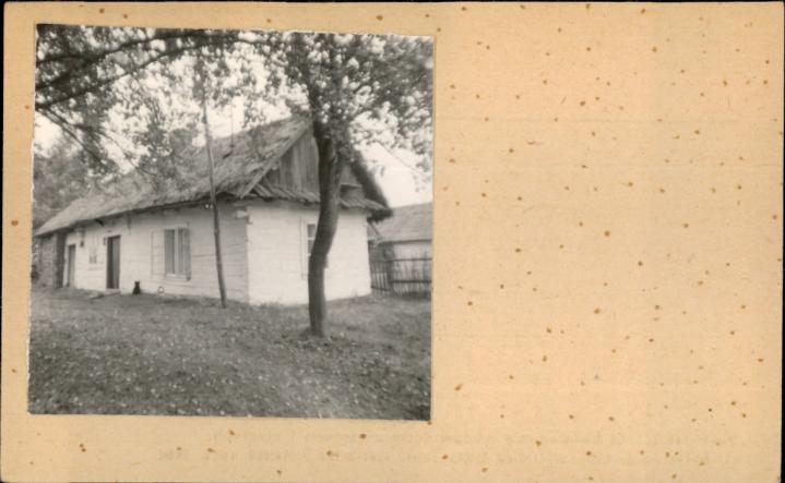 dom, skan 2