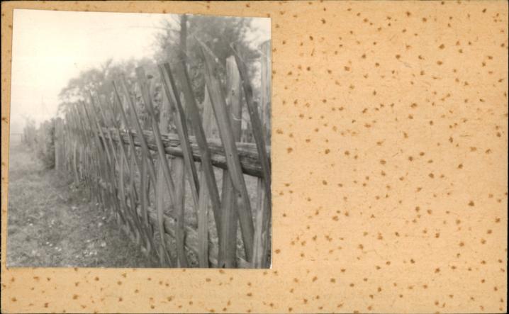 płot, skan 2
