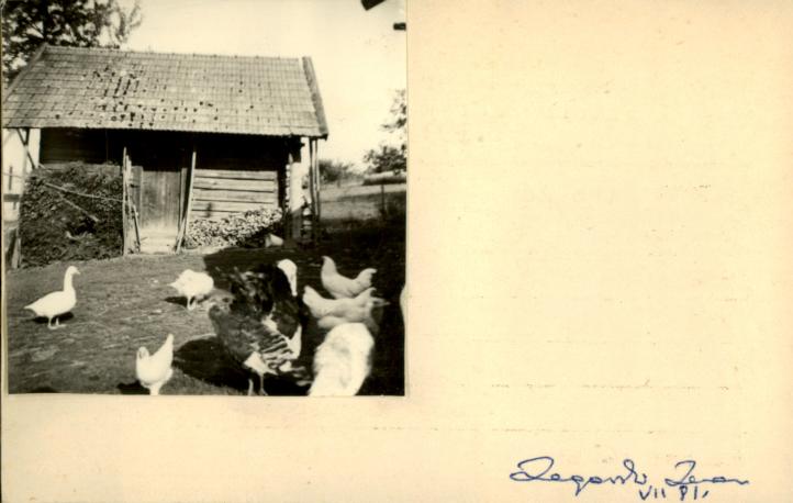 szopa, skan 2