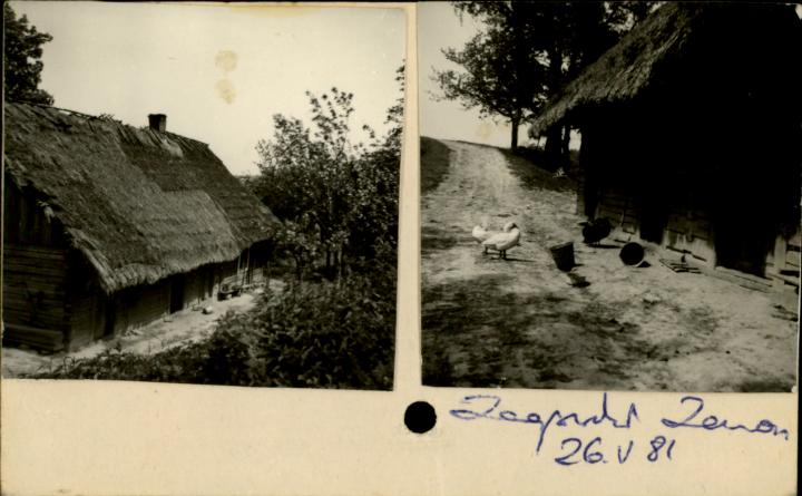 dom, skan 2