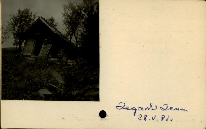 stajnia, skan 2