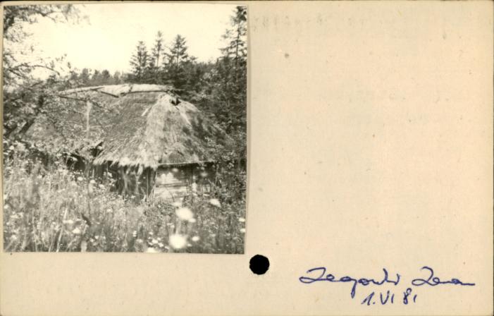 stajnia, skan 2