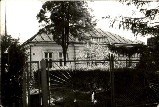 willa, skan 2