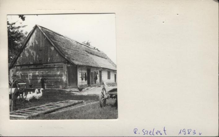 dom, skan 2