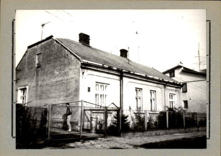 dom, skan 2