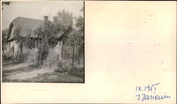 dom, skan 2