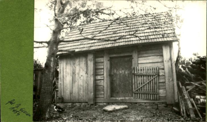 stajnia, skan 2