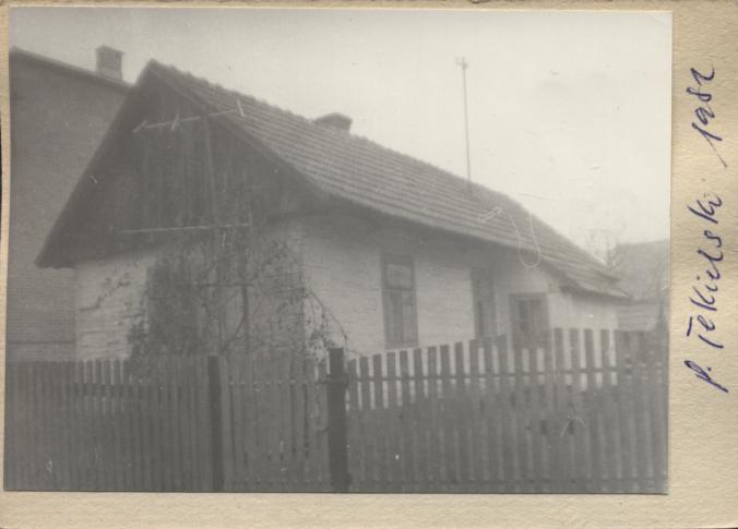 dom, skan 2
