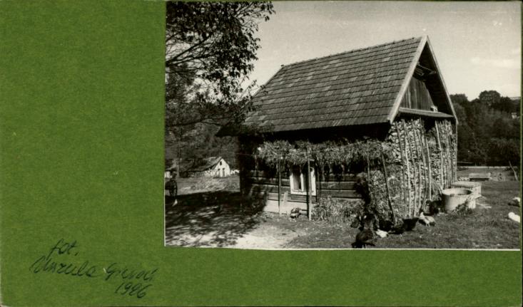 kurnik, skan 2