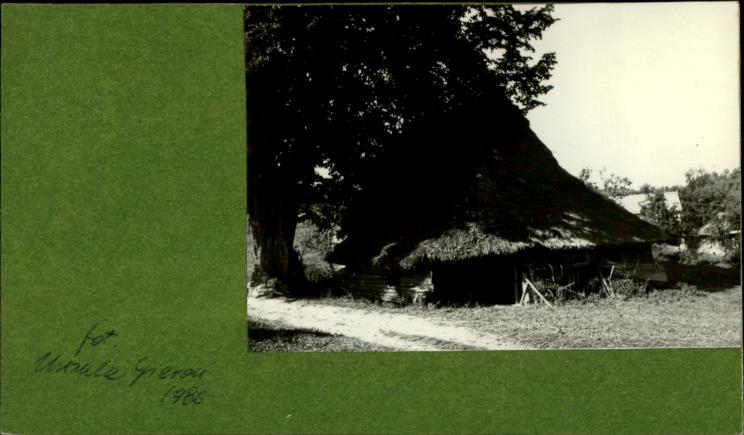 stodoła, skan 2