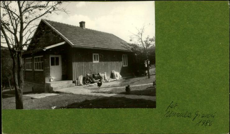 dom, skan 2