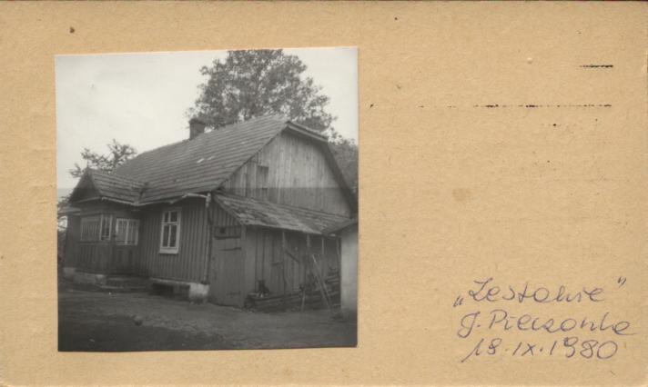 dom, skan 2