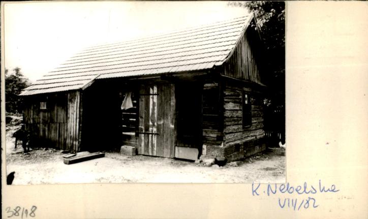 kurnik, skan 2