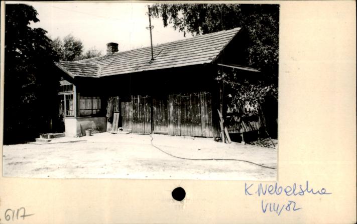 dom, skan 2