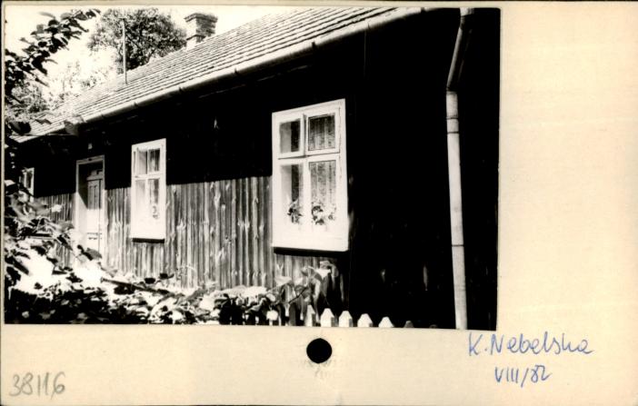 dom, skan 2