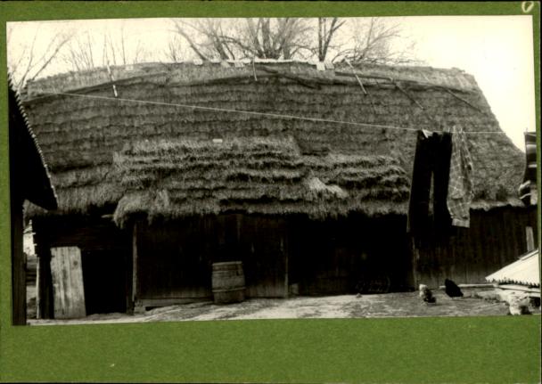 stodoła, skan 3