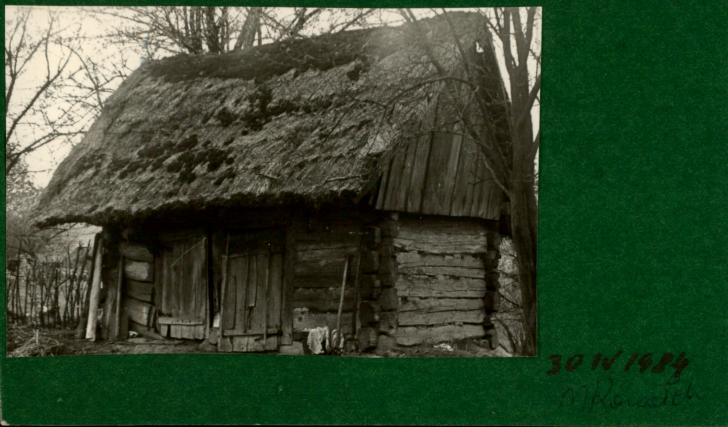 drewutnia, skan 2
