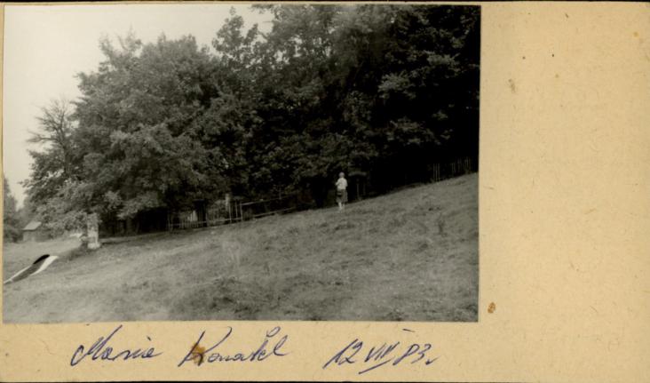 ogrodzenie szkoły, skan 2