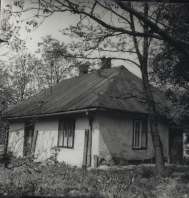 dom, skan 3