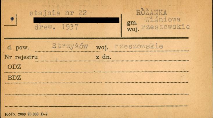 stajnia, skan 1