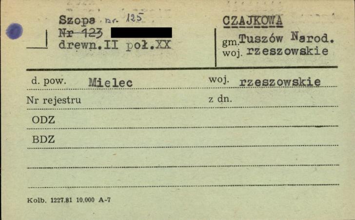 szopa, skan 1