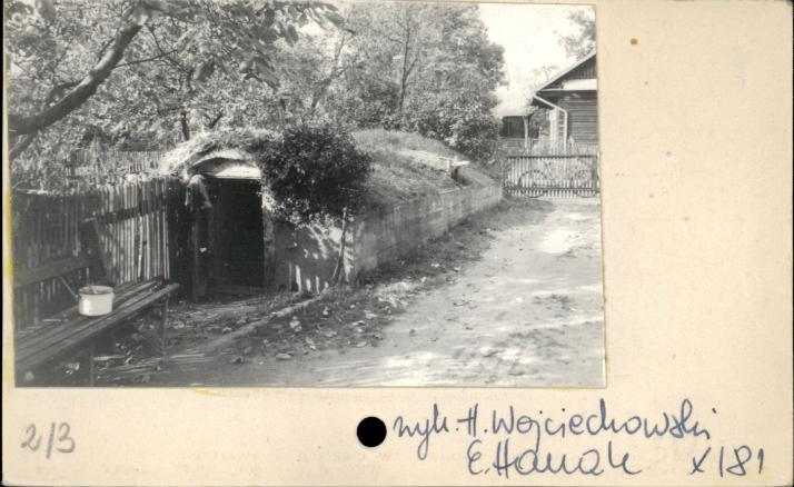 piwnica, skan 2