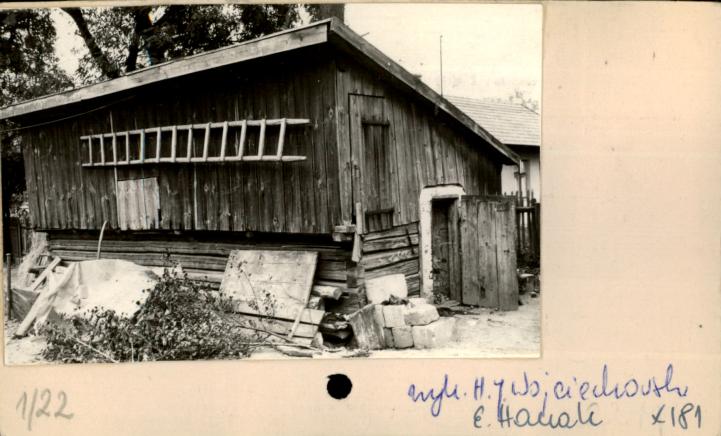 piwnica, skan 2